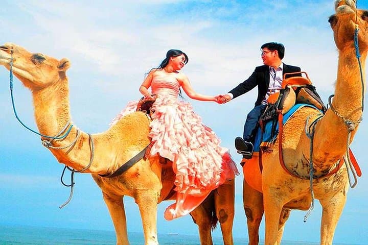 Marrakech High Atlas mountains 3 Valleys waterfalls & Camel Ride