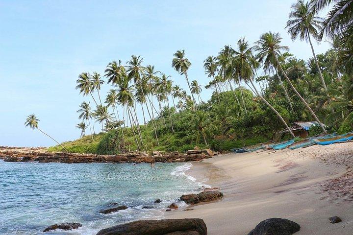 Luchthaven van Colombo (CMB) Drop From Tangalle / Dickwella