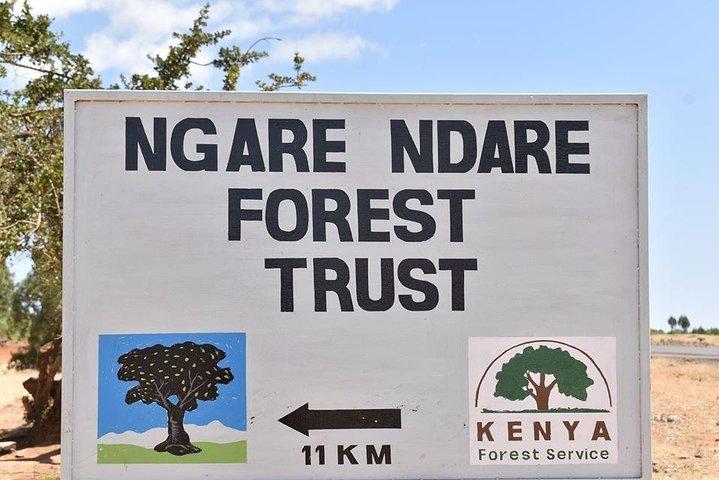 Ngare Ndare Tagesausflug