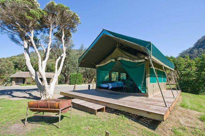 7 Days Kenya budget safari, Amboseli, Aberdares, Lake Nakuru, Masai Mara Budget
