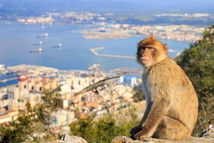 Visite privée et excusion à terre de Gibraltar depuis Cadix