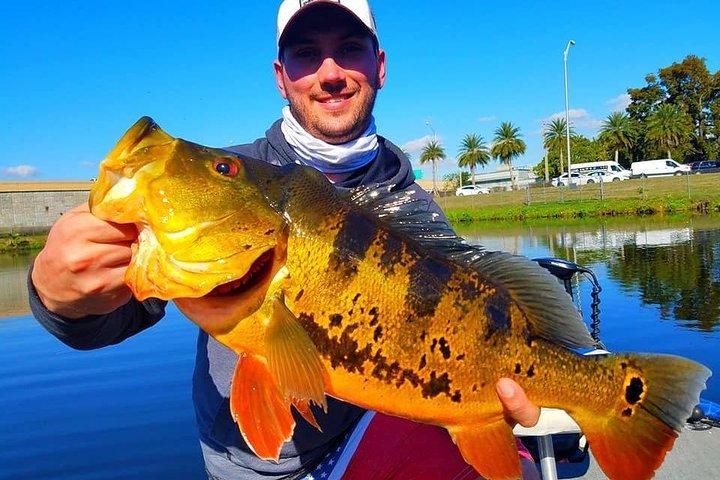 Påfuglbas fisketur i Boynton Beach