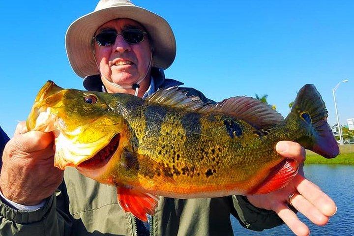 Påfuglbas fisketur i Boynton Beach