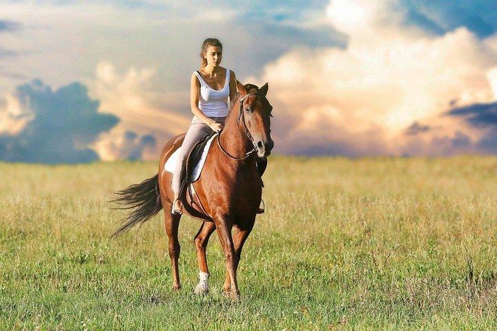 Ancient Pompeii Tour med Vesuvius Horseback ridning og vin