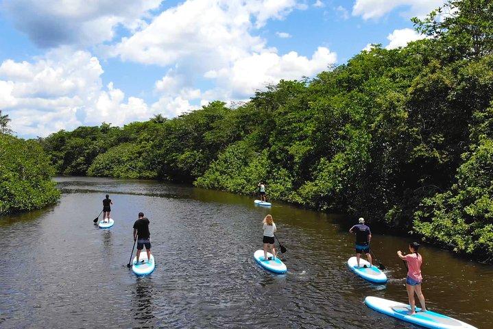 4 dages paddleboarding i Cuyabeno-reservatet