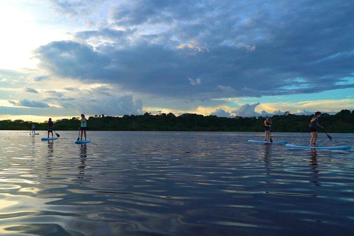 4 dages paddleboarding i Cuyabeno-reservatet