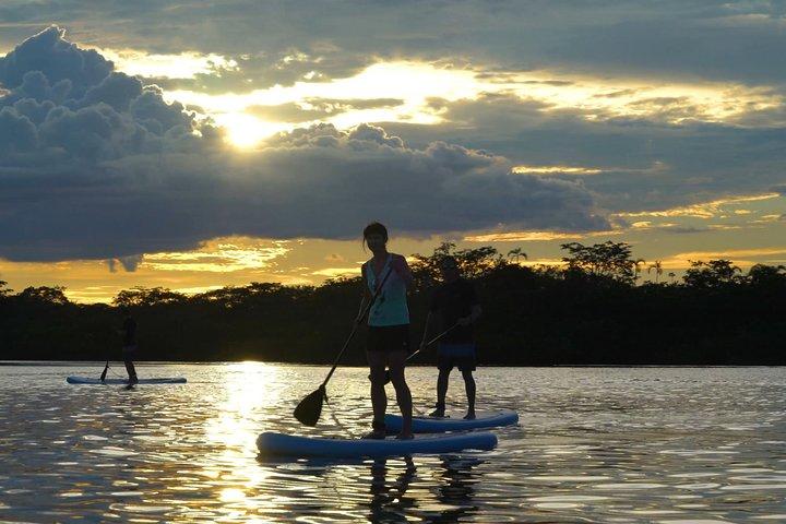 4 dages paddleboarding i Cuyabeno-reservatet
