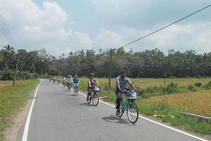 Excursion à vélo dans la lagune et le village au départ de Galle / Unawatuna