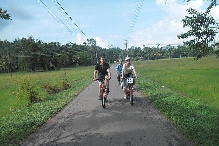 Excursion à vélo dans la lagune et le village au départ de Galle / Unawatuna