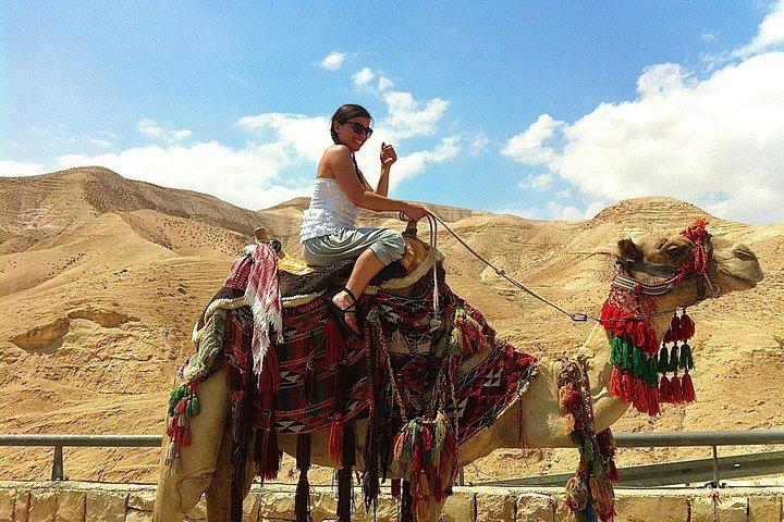 Relaxamento no Mar Morto e hospitalidade beduína - pequeno grupo de Tel Aviv