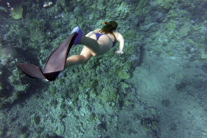 Snorkeling Fun Adventure in Athenian Riviera