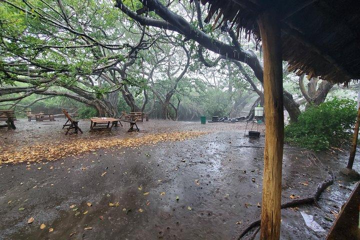 Kikuletwa Hot Springs