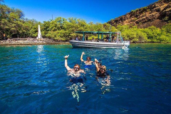 Boccaglio mattutino premium sulla costa di Kona
