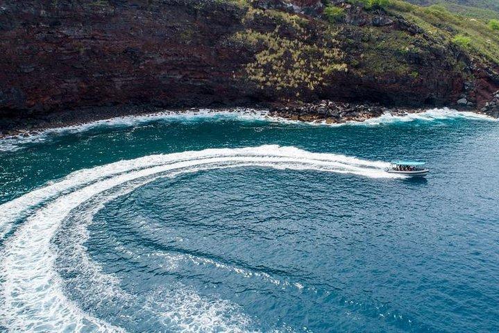 Boccaglio mattutino premium sulla costa di Kona