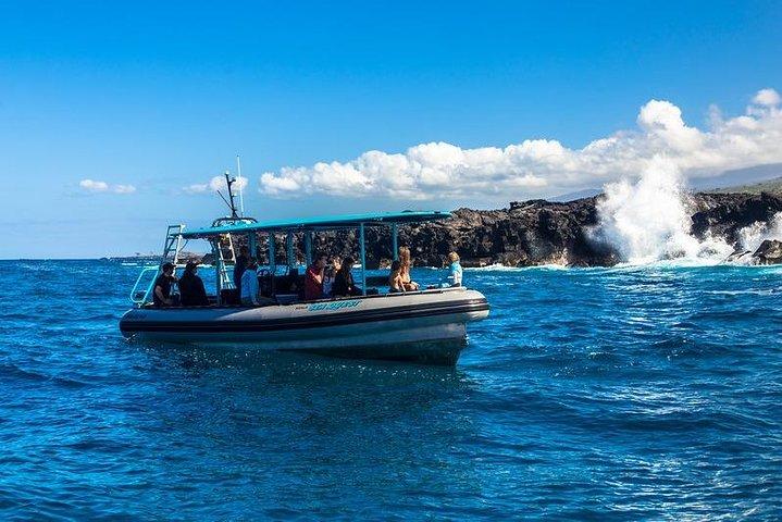 Boccaglio mattutino premium sulla costa di Kona