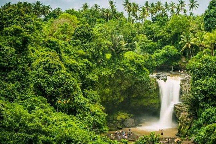Ubud Instagram Spots Tour - One Day Private Trip
