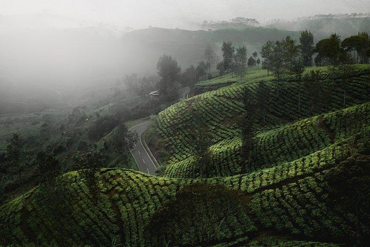 07 giorni Sri Lanka Tour - Splendid Ceylon