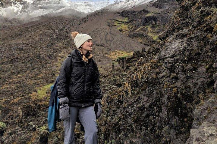 Mount Kilimanjaro Climb, 6 dagar Rongai Route