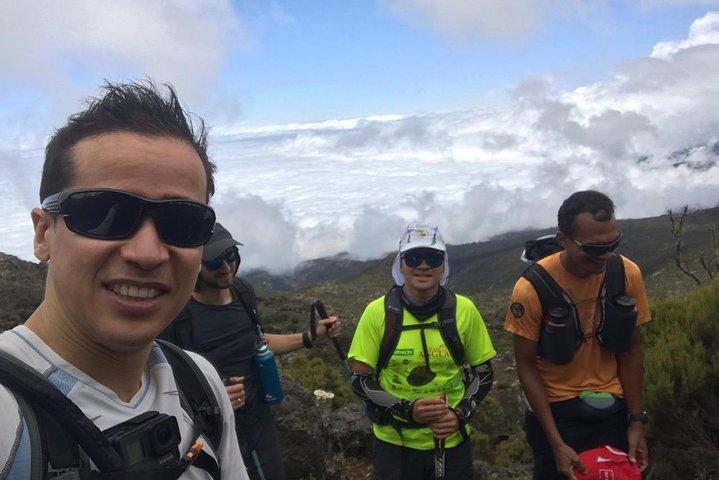 Kilimanjaro-klättring 5 dagars Marangu-rutt
