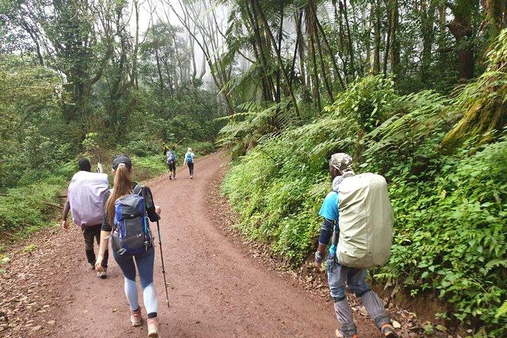 Kilimanjaro-klättring 5 dagars Marangu-rutt