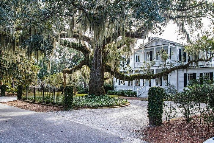 Beaufort City Minibustur
