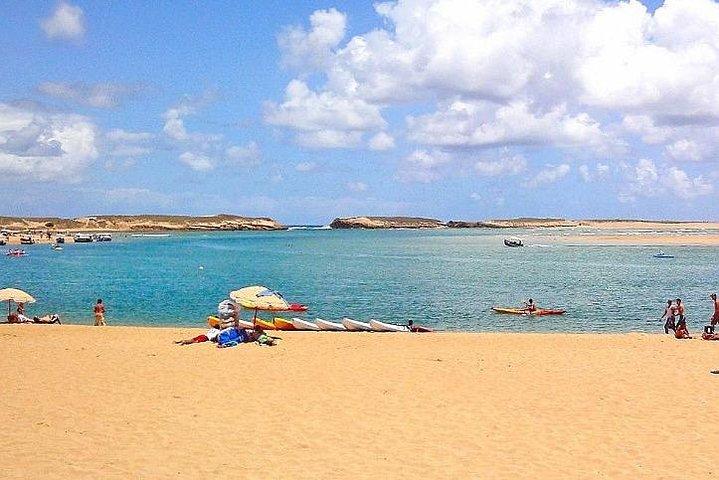 Moroccan Coastal Journeys: Marrakech to El Oualidia VIP Transfers