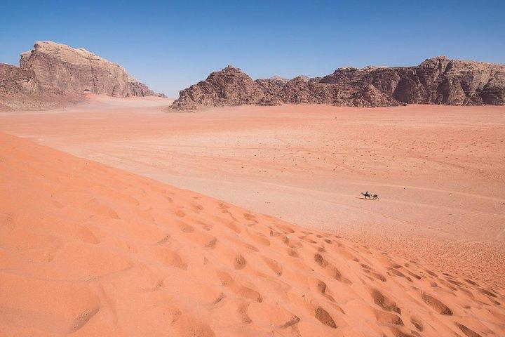 Wadi Rum: 4 timmars höjdpunktstur