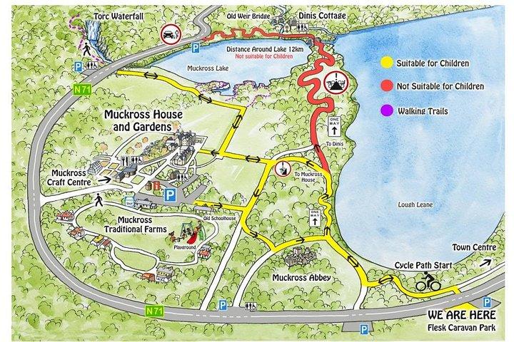 キラーニー国立公園、マックロス ガーデン、滝のガイドなし自転車ツアー