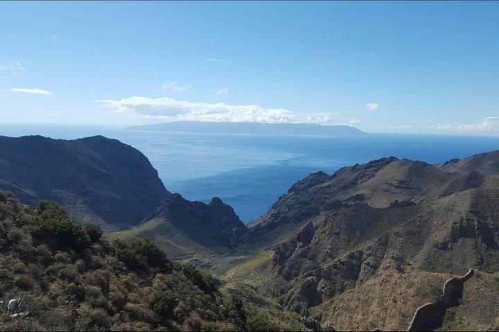 Privat kystudflugt på Tenerife fra dit krydstogtskib