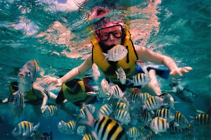 5 eilanden & Ile aux Cerfs Speedbootcruise, snorkelen + lunch