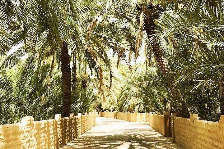 City Tour Al Ain / Cidade do Oásis
