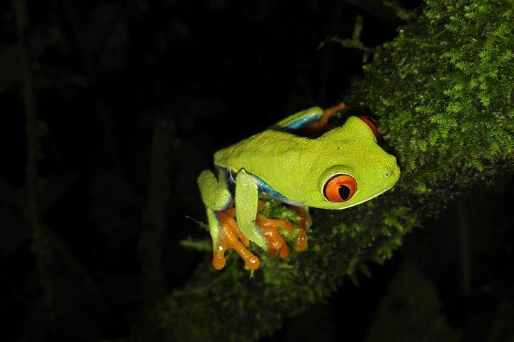 Expérience de nuit au Natura Eco Park