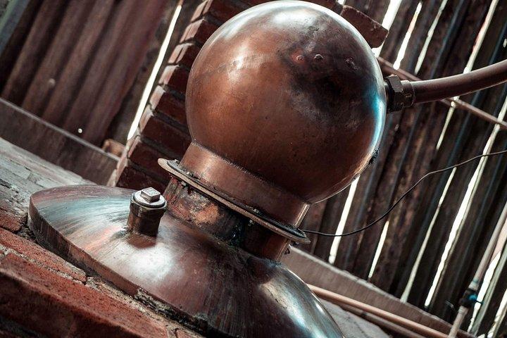 Visite privée de la nature : Hierve el Agua, Tule, Mezcal et Textiles