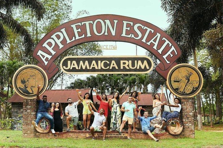 Appleton Estate, Ys Falls og Black River Safari Private Tour