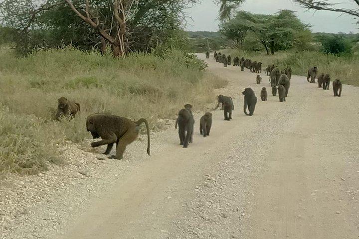 3Days 2 night Samburu shaba