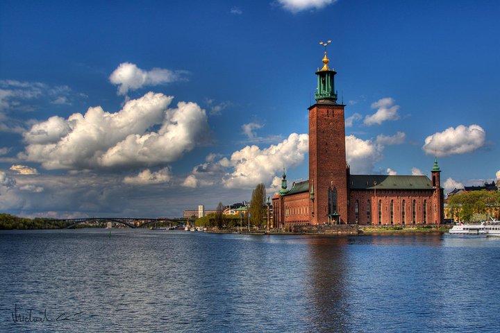 Excursion à terre commune: points forts de Stockholm avec visite du musée Vasa