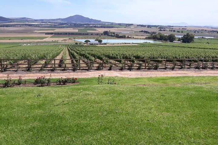 Wine Tasting in Stellenbosch, Franschhoek & Paarl fees included.