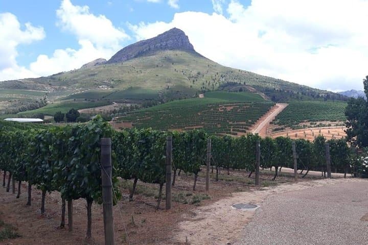 Wine Tasting in Stellenbosch, Franschhoek & Paarl fees included.