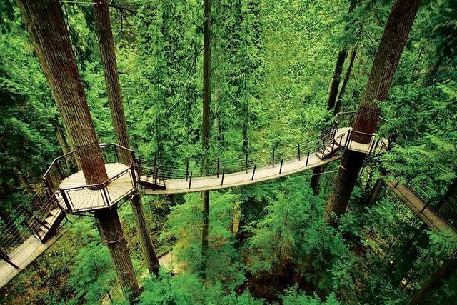 Grouse Mountain
