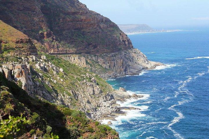 Le Cap : visite privée de Cape Point, Table Mountain et Penguins