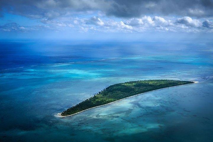 Dolphin Encounters, Ile aux Benitier & Crystal rock: hele dag (lunch en transfer)