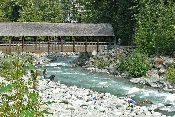 Excursion privée d'une journée à Whistler au départ de Vancouver — Ramassage à l'hôtel inclus