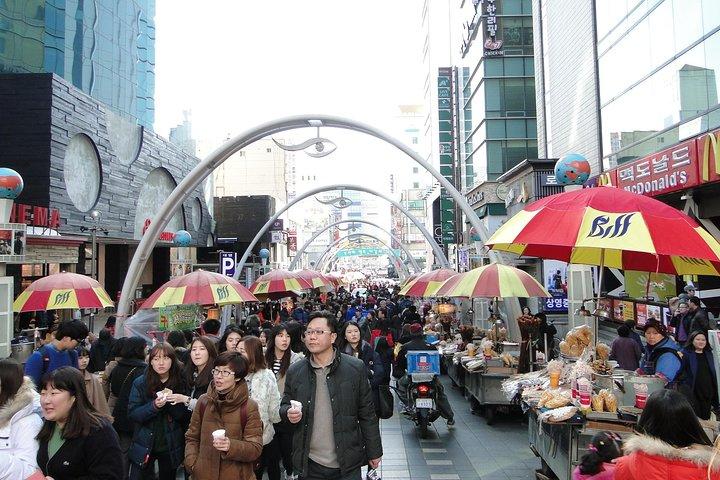 Cherry blossom tour in Busan and Jinhae from Busan