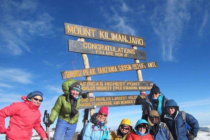Kilimanjaro-bestigning - 8 dages Lemosho-rute