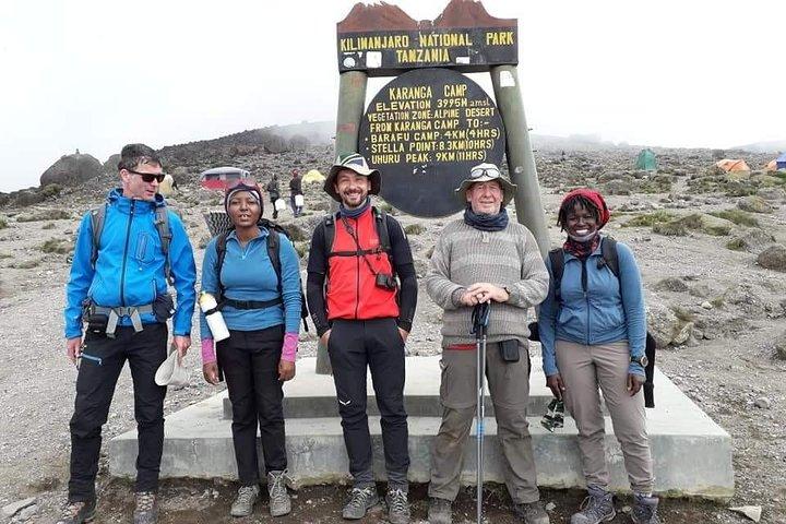 Kilimanjaro-bestigning - 8 dages Lemosho-rute