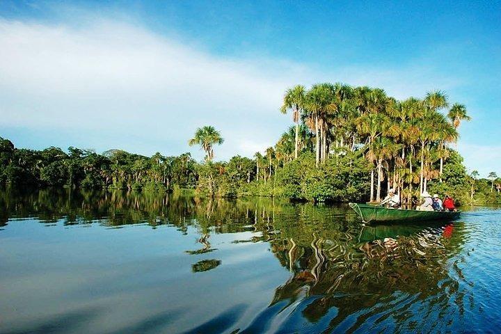 Tambopata (Puerto Maldonado) 4 dage