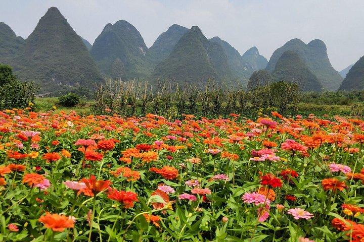Excursion de 4 jours à Yangshuo et Guilin au départ de Guilin