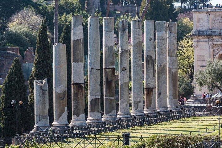 Privat fordybende Colosseum-tur