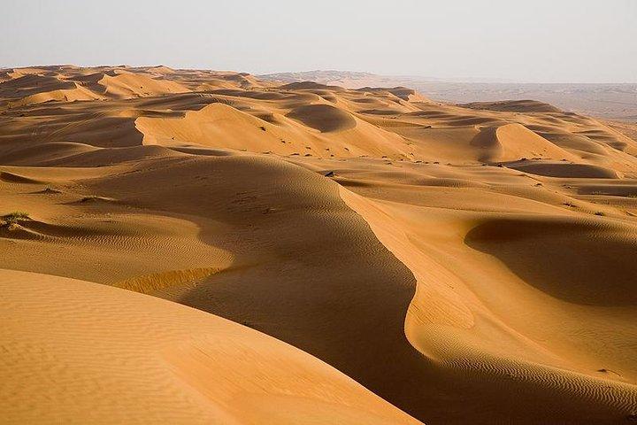Die beste Wüstensafari in Dubai mit Quad Biking & Dune Bashing & BBQ & Live Show