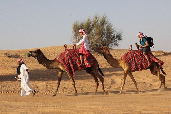 Die beste Wüstensafari in Dubai mit Quad Biking & Dune Bashing & BBQ & Live Show